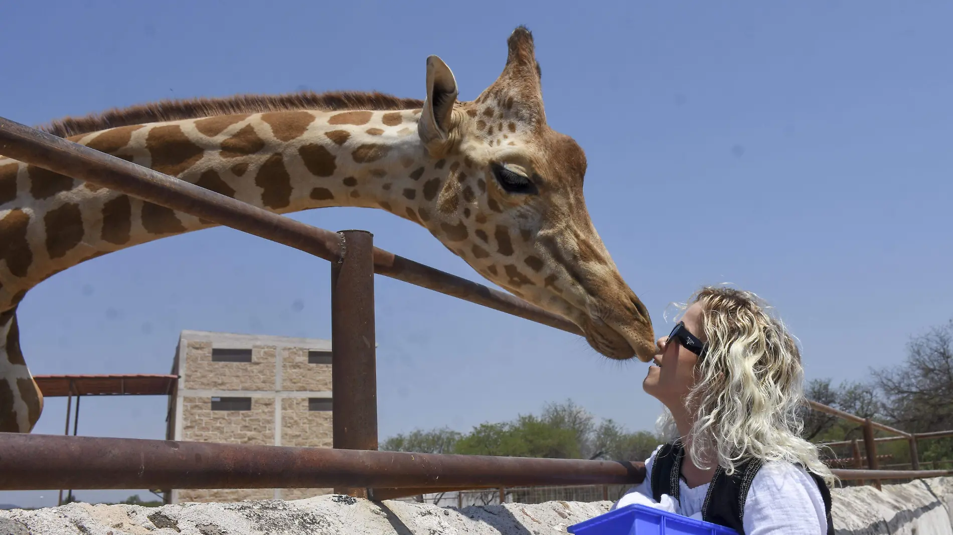 santuario de vida silvestre en México Santuaai  (1)